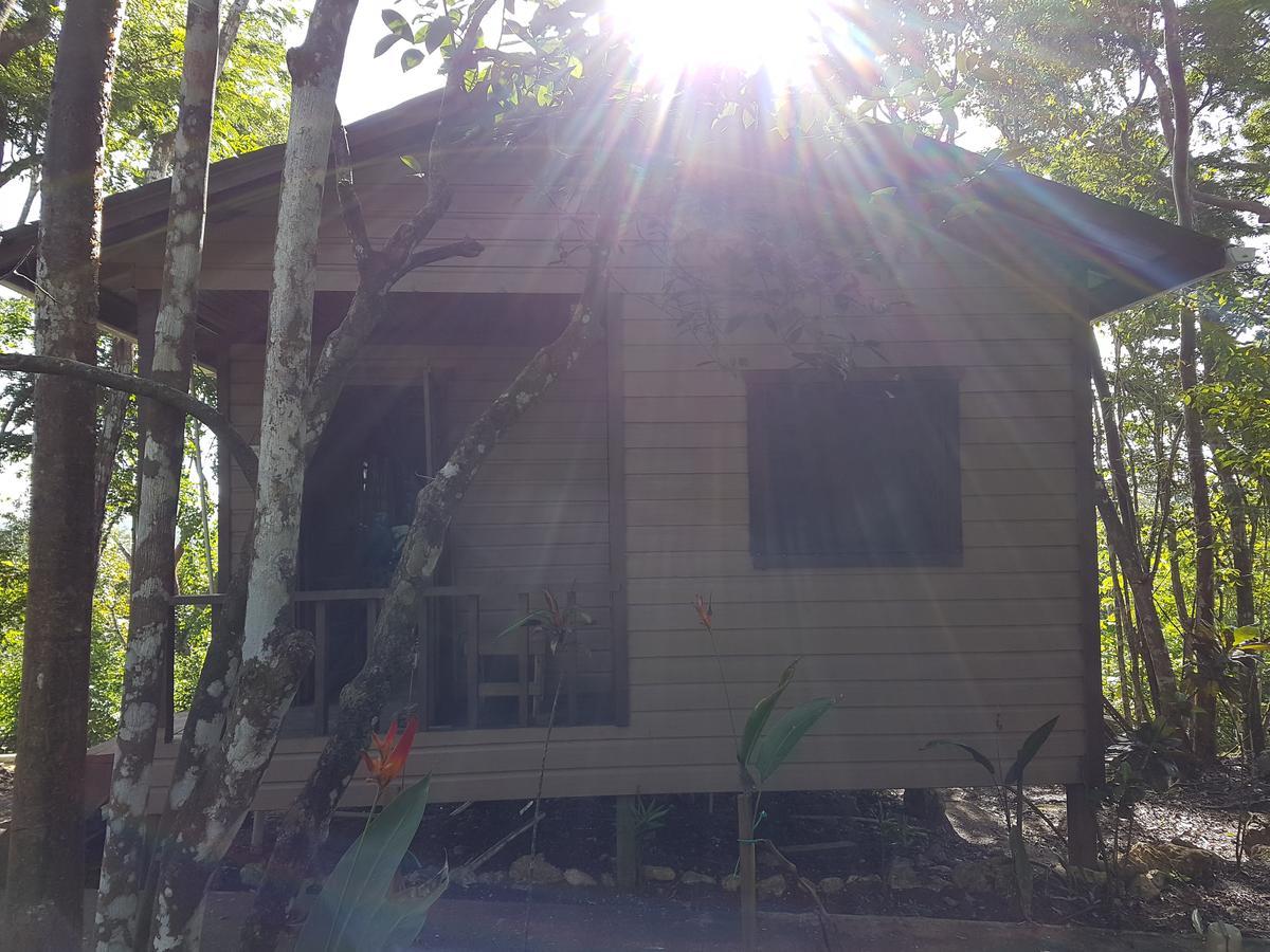 Hidden Haven Hostel Unitedville Εξωτερικό φωτογραφία