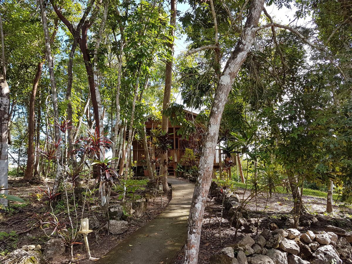 Hidden Haven Hostel Unitedville Εξωτερικό φωτογραφία