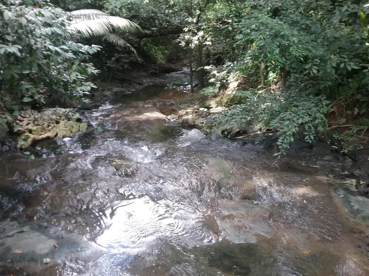 Hidden Haven Hostel Unitedville Εξωτερικό φωτογραφία