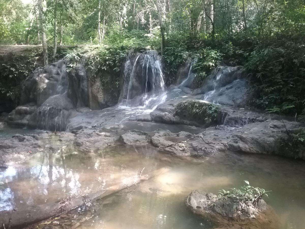 Hidden Haven Hostel Unitedville Εξωτερικό φωτογραφία