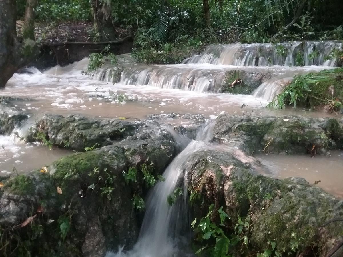 Hidden Haven Hostel Unitedville Εξωτερικό φωτογραφία