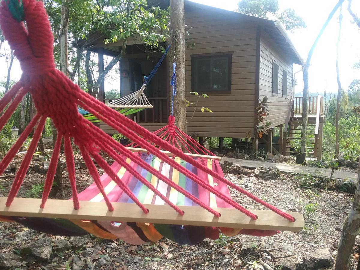 Hidden Haven Hostel Unitedville Εξωτερικό φωτογραφία